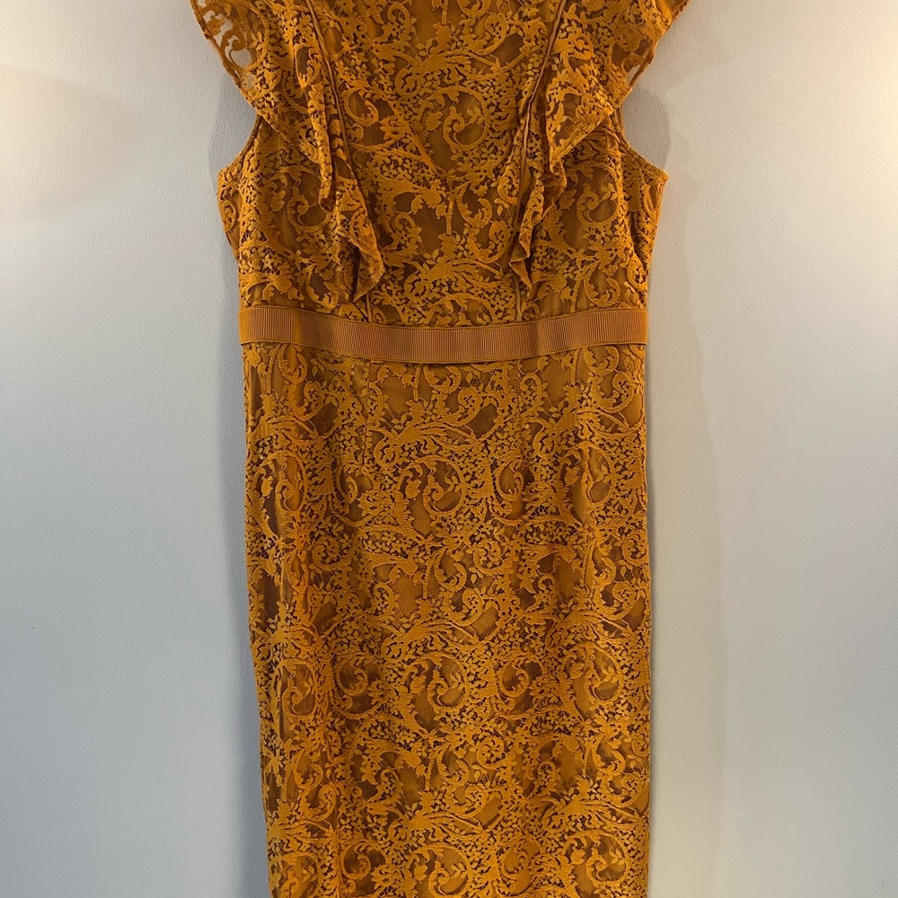 eva mendes for New York & Company Sleeveless Lace Sheath Dress - Picture 3 of 10